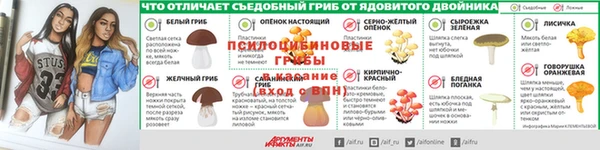 ГАЛЛЮЦИНОГЕННЫЕ ГРИБЫ Арсеньев