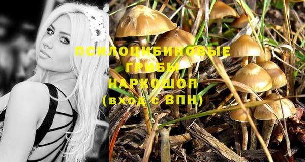 дурь Аркадак
