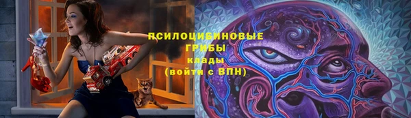ГАЛЛЮЦИНОГЕННЫЕ ГРИБЫ Арсеньев