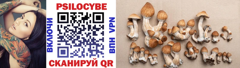 купить   Бирюч  Галлюциногенные грибы мухоморы 